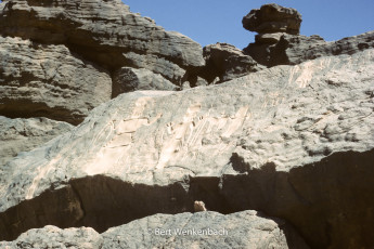 ... in the other direction on this magnificent piece of rock art ...