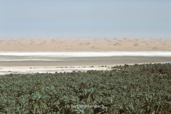 Timimoun, the vast palm grove of Igsher, the chott (a dry salt lake) and the sand dunes North of the village