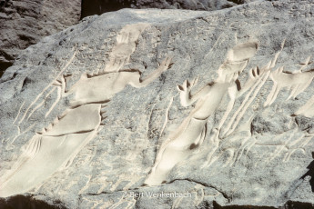 ... this piece of rock art is probably the biggest in the Aïr mountains