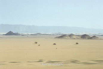 Another view on Adrar Chiriet, in the haze of the late afternoon