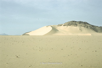 Sand dunes between the Gorges d’Agamgam and "La pince du crab" d'Arakao