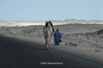South of Tamanrasset, we supplied this Tuareg with some water, watch the height of his camel