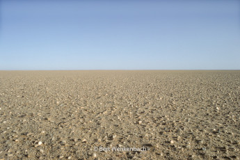 Tanezrouft is a vast and barren plain extending from Timbuktu more than 1500 KM to the North