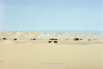 A row of majestic sand dunes in front of Adrar Chiriet