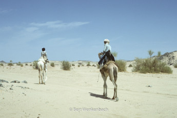 The majestic sight of two Tuareg riding their camels