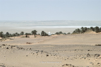 Timimoun, the palm grove of Igsher, in the middle a marabout grave, at the horizon the chott, a dry salt lake