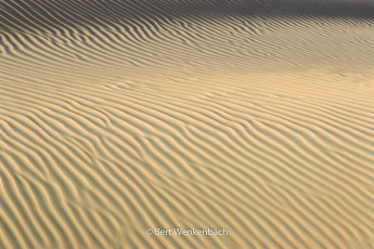 Little waves in the "Sea of Sand", with a wavelength of about 10 centimetres