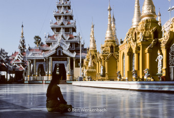 A woman meditating on the terrace around the main Stupa