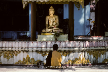 A woman, seemingly in direct communicating with the Buddha