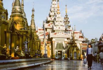 Daily life combines flawlessly with a complex Pantheon of Shrines and Saints