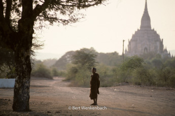 A young Buddhist monk, at the dawn of day, in Bagan