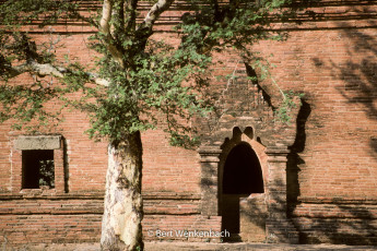 The Dhammayangyi Temple is notable for its incredibly fine brickwork